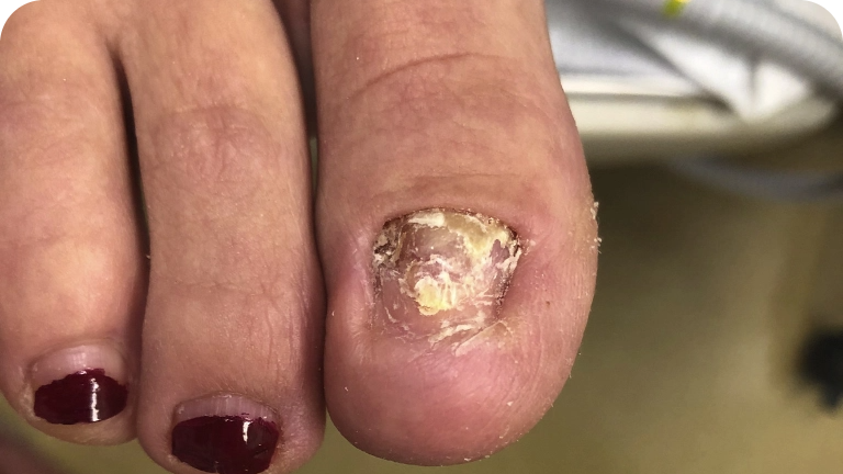 _Feature text (style)@2x