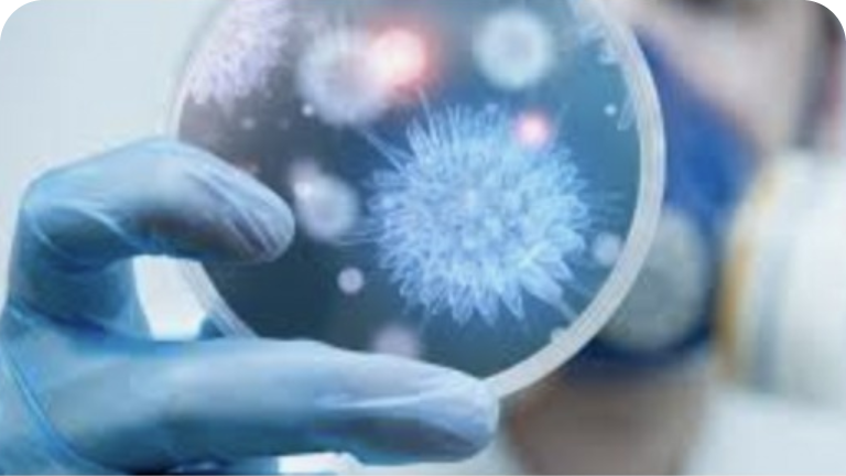 _Feature text (style)@2x