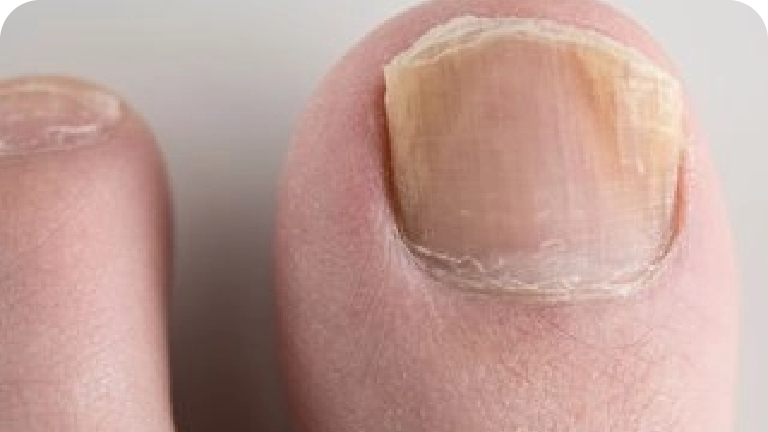 _Feature text (style)@2x