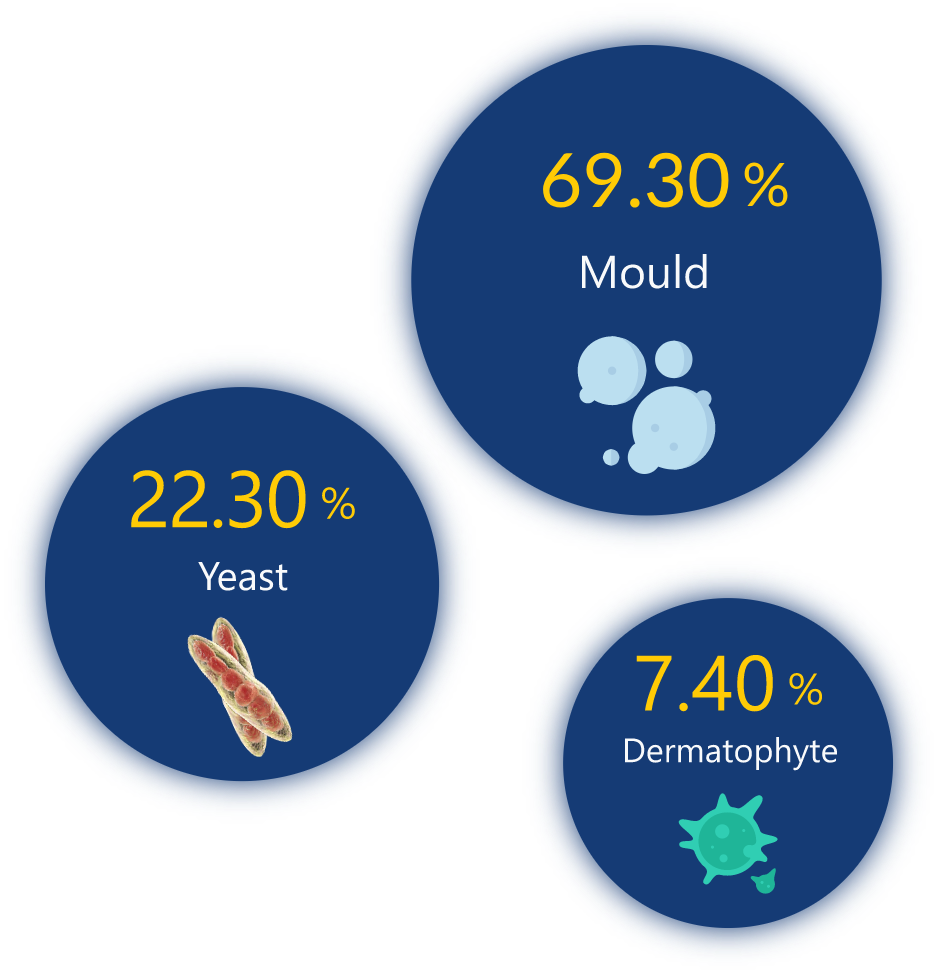 SFN-10-homepage-image-new